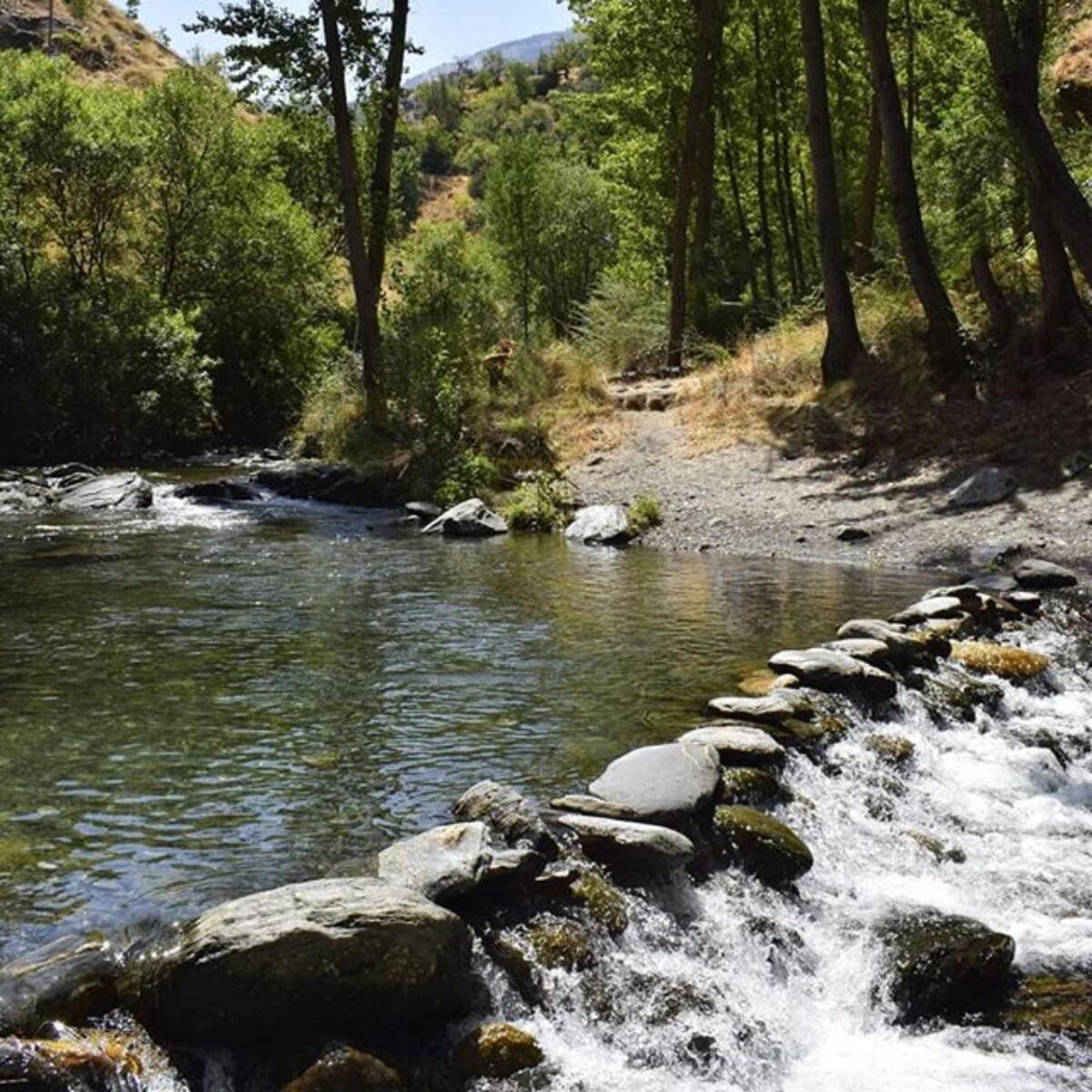 Coqueto Estudio Junto A Sierra Nevada Guejar Sierra Eksteriør bilde